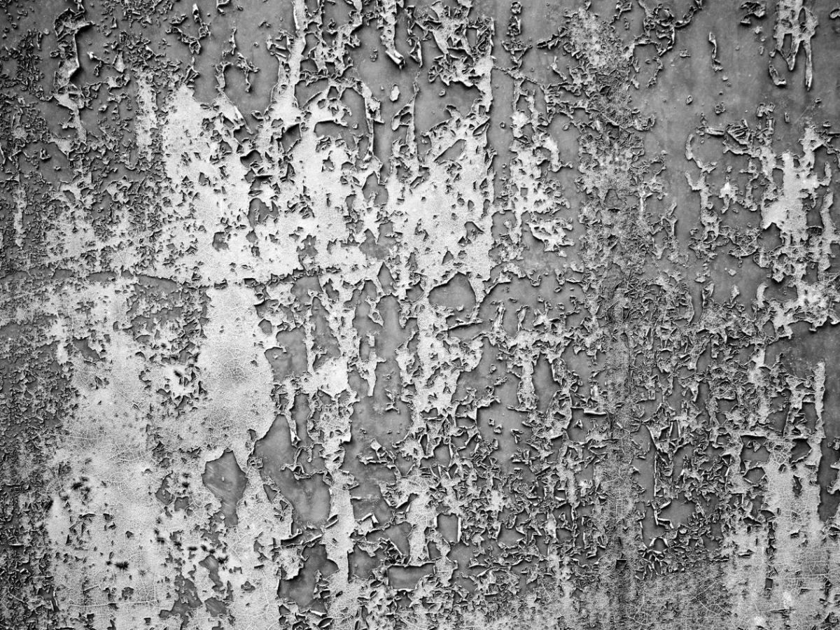 Reboucher et poncer un mur avant peinture : la préparation qui évite les défauts visibles