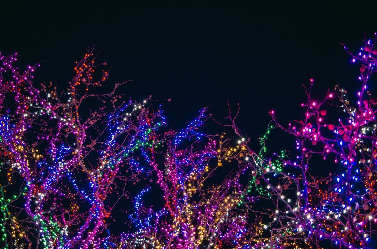 Guirlandes lumineuses colorées assorties